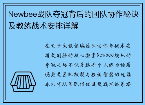 Newbee战队夺冠背后的团队协作秘诀及教练战术安排详解