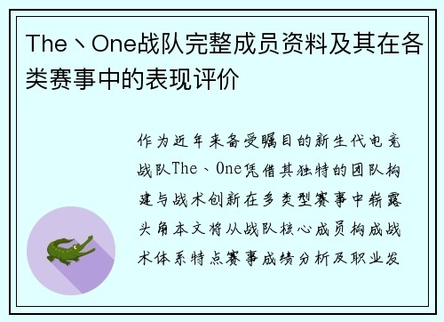 The丶One战队完整成员资料及其在各类赛事中的表现评价